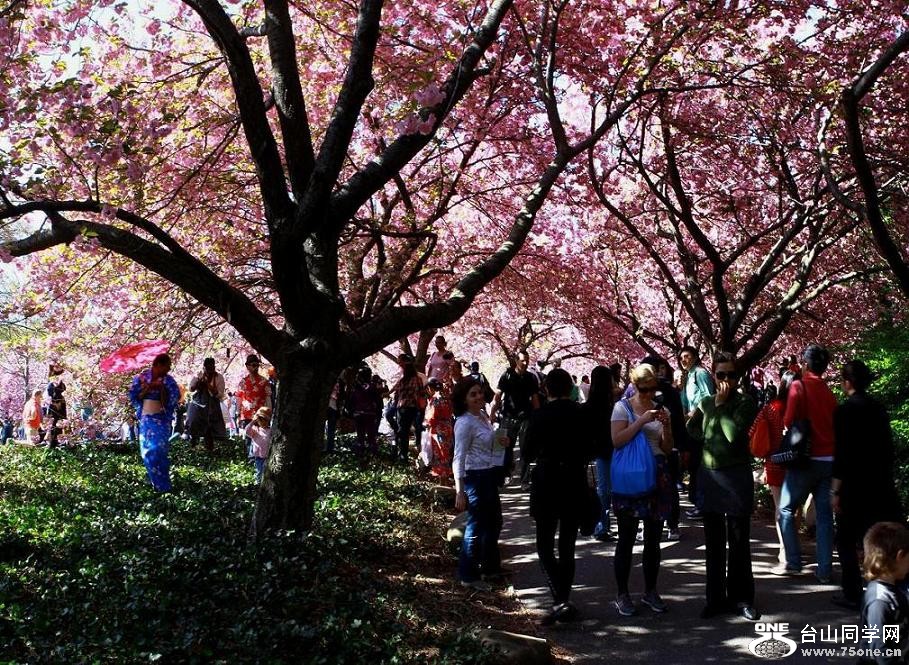 �}�u -δ����_ȫ��1.jpg