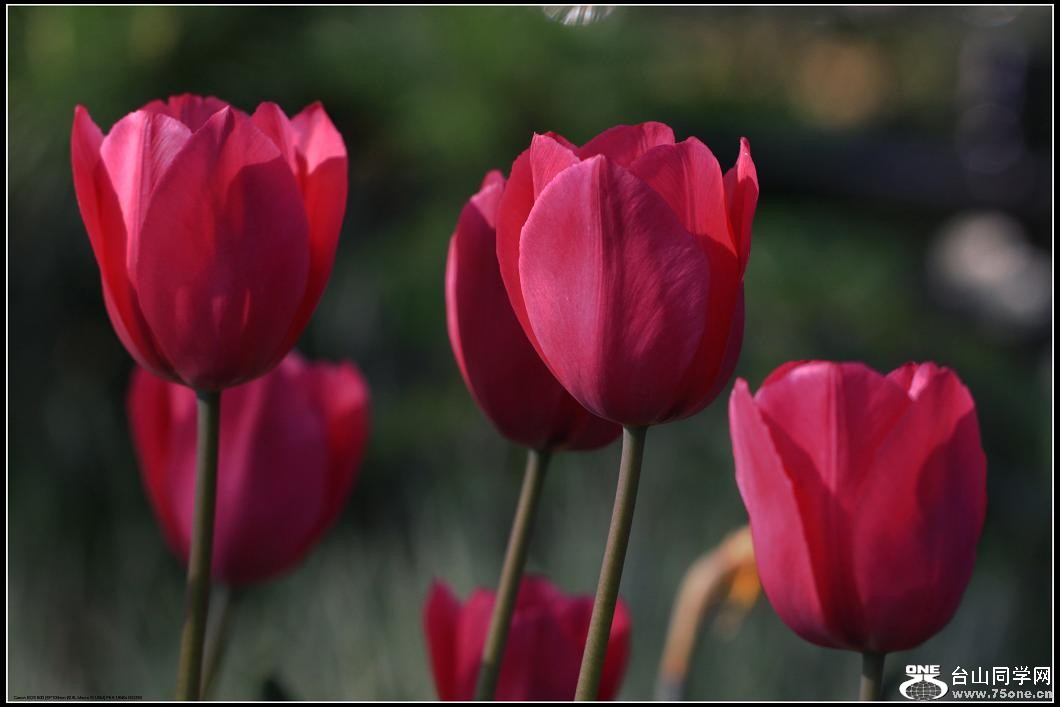 �}�u -IMG_7242mm.jpg