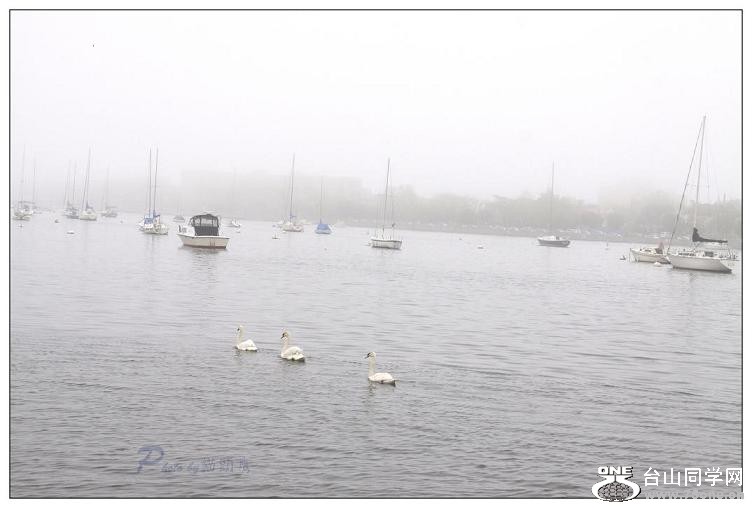 �}�u -IMG_7656ccc.jpg