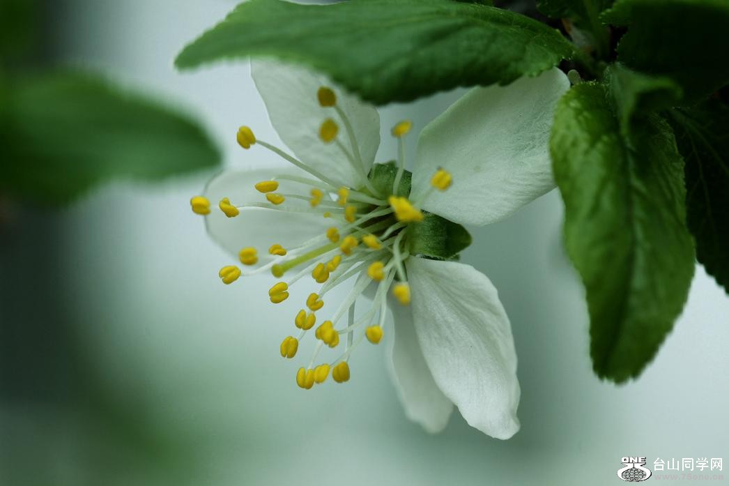 �}�u -IMG_5938cc.jpg