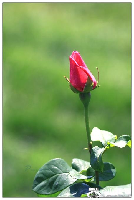 �}�u -IMG_9349ccc.jpg