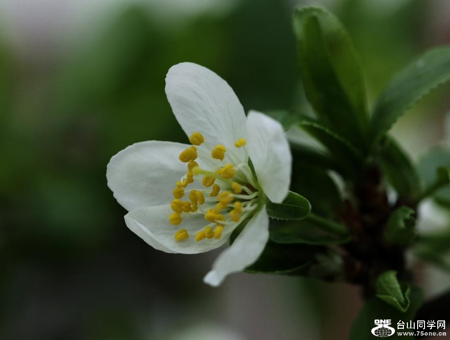 �}�u -IMG_5936cc.jpg