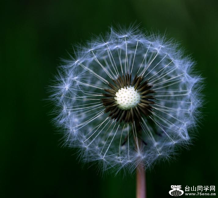 �}�u -IMG_6381ccss.jpg