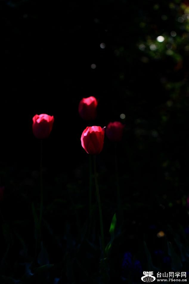 �}�u -IMG_7218cc.jpg