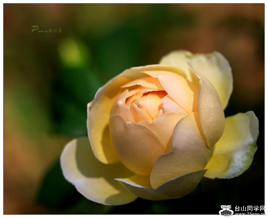 �}�u -IMG_9377cc.jpg