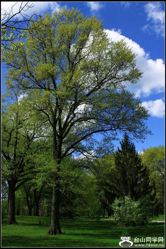 �}�u -IMG_6447cc.jpg