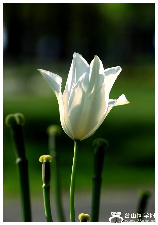 �}�u -IMG_7257cc.jpg