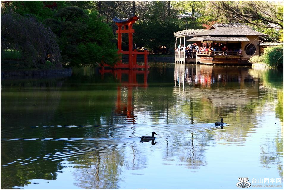 �}�u -IMG_6863aa.jpg