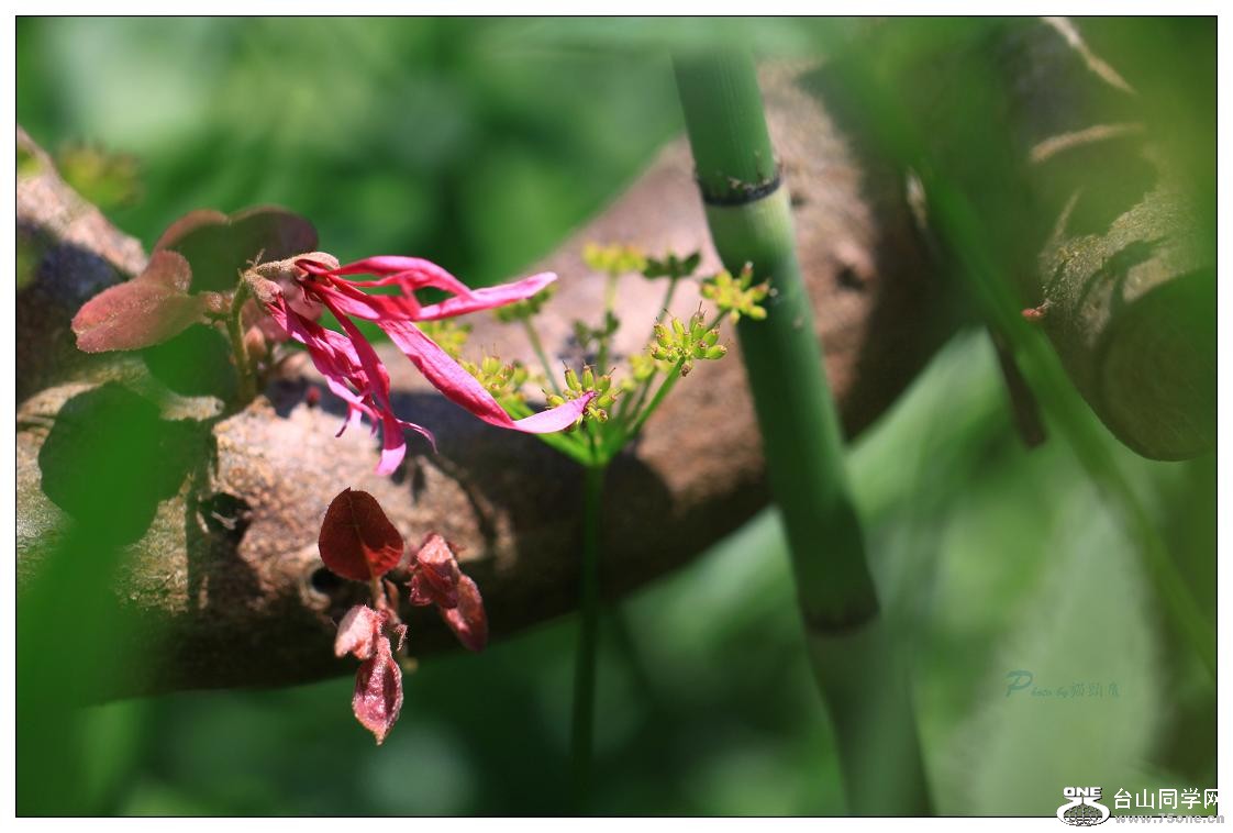 �}�u -IMG_9188cc3.jpg