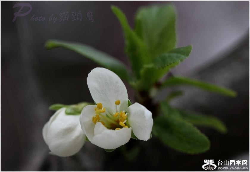 �}�u -IMG_5925aacc.jpg