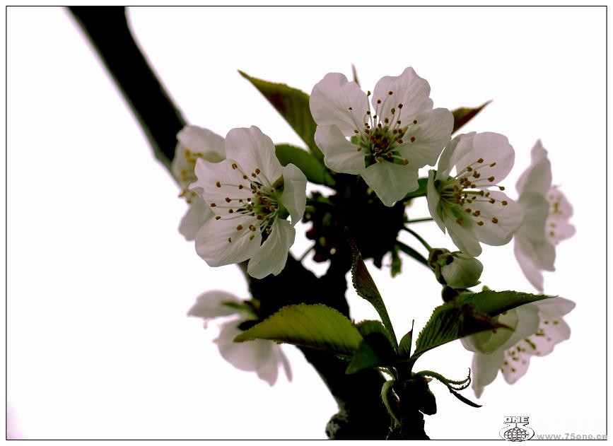 �}�u -IMG_5911ss.jpg