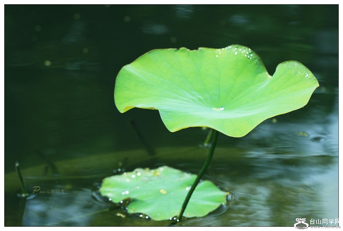 �}�u -IMG_9110cc.jpg