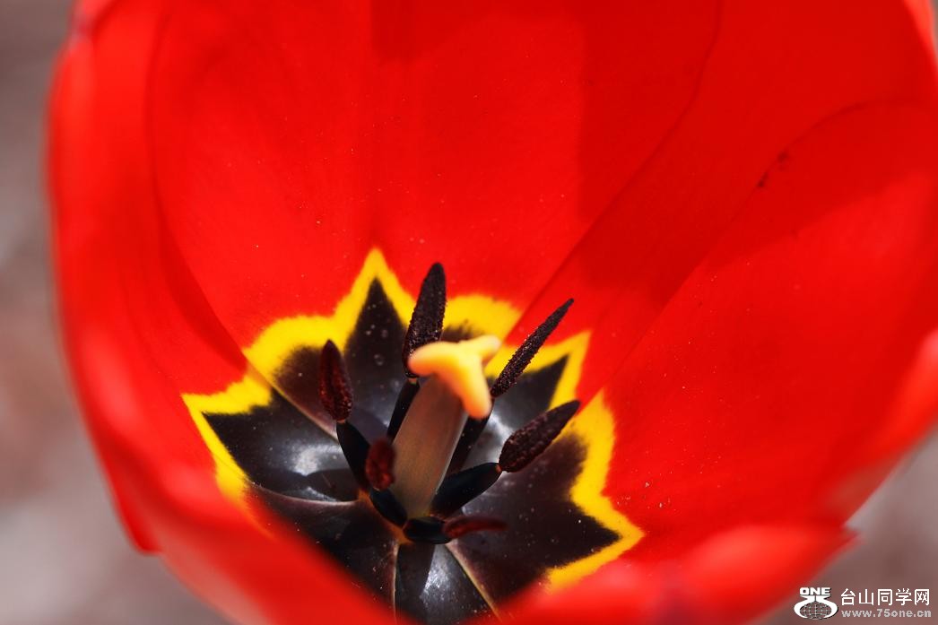 �}�u -IMG_5882ccccss.jpg