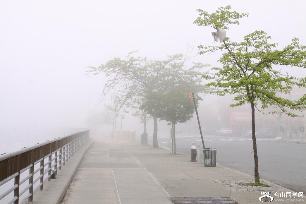 �}�u -IMG_7636cc.jpg