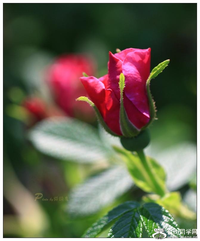 �}�u -IMG_9255cc10.jpg