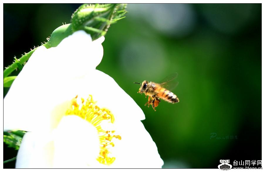 �}�u -�}�u -IMG_9358cc2.jpg