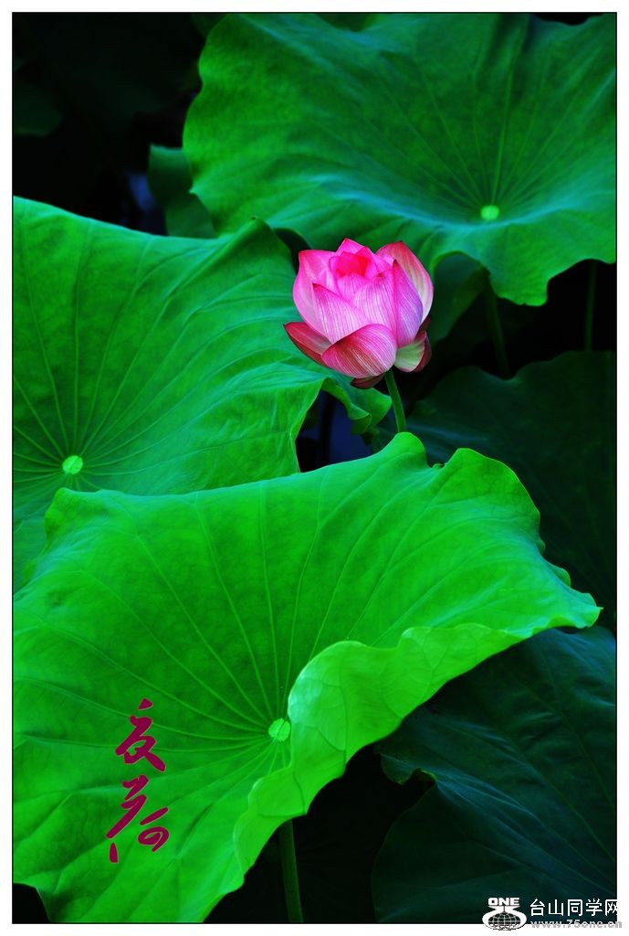 nEO_IMG_DSC_0041_conew1.jpg