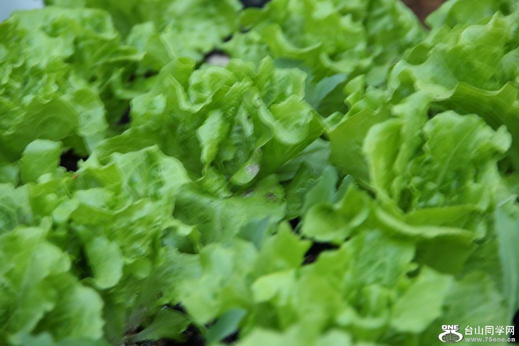 ������С IMG_5843.JPG