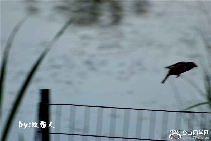 Picture 322_����.jpg