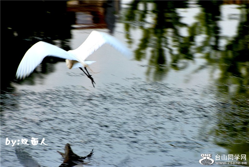 Picture 306_����.jpg