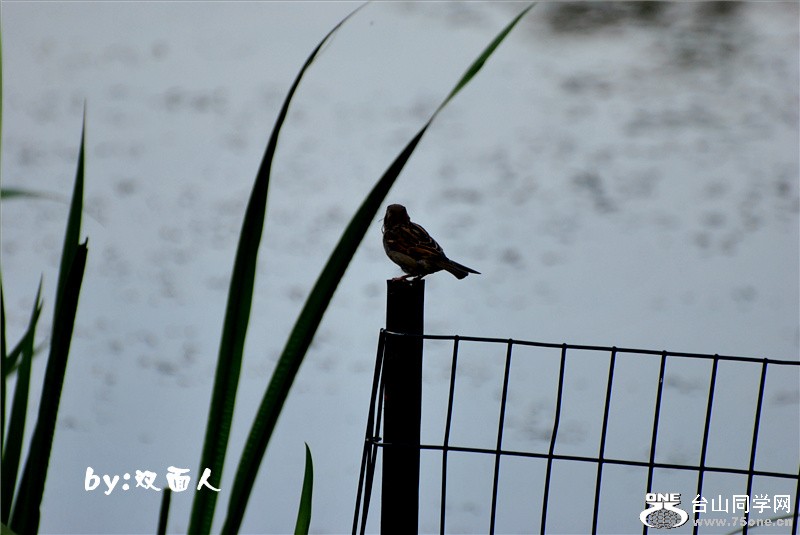 Picture 320_����.jpg