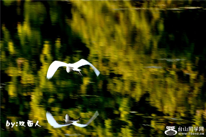 Picture 307_����.jpg