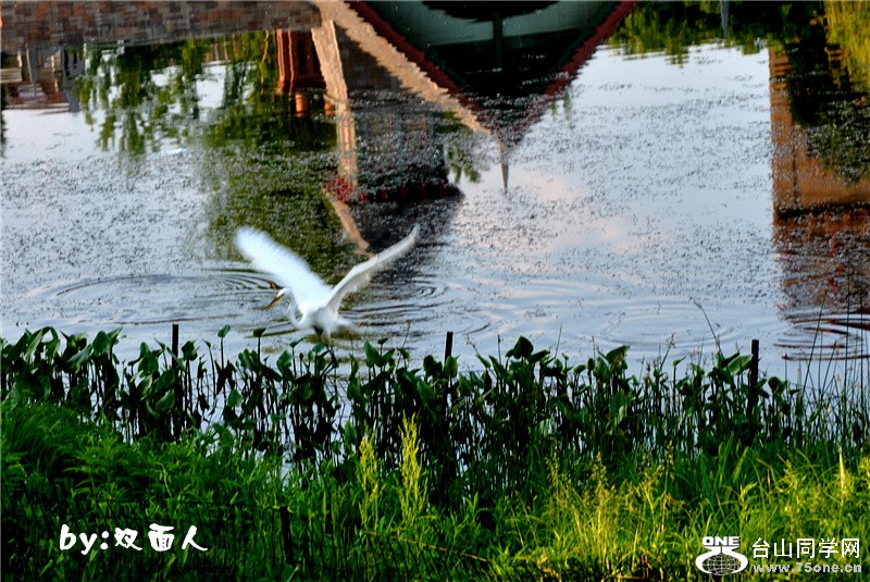 Picture 304_����.jpg