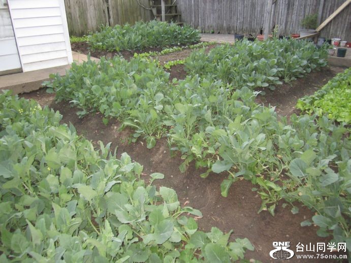 4-30-2011PARTY 001.jpg