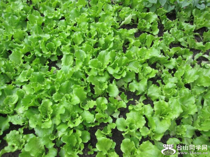 4-30-2011PARTY 035.jpg