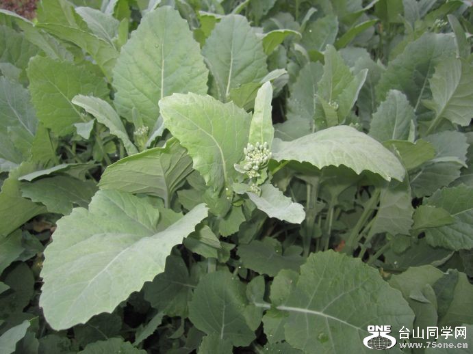 4-30-2011PARTY 006.jpg