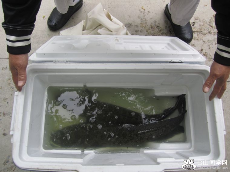 4-30-2011PARTY 002.jpg