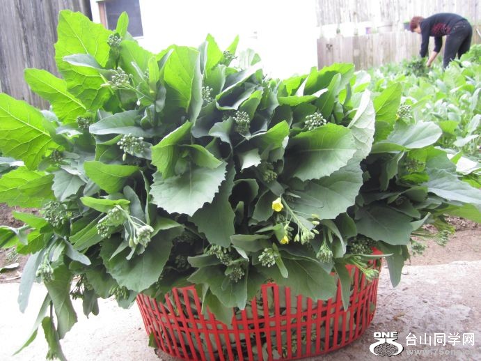 4-30-2011PARTY 034.jpg