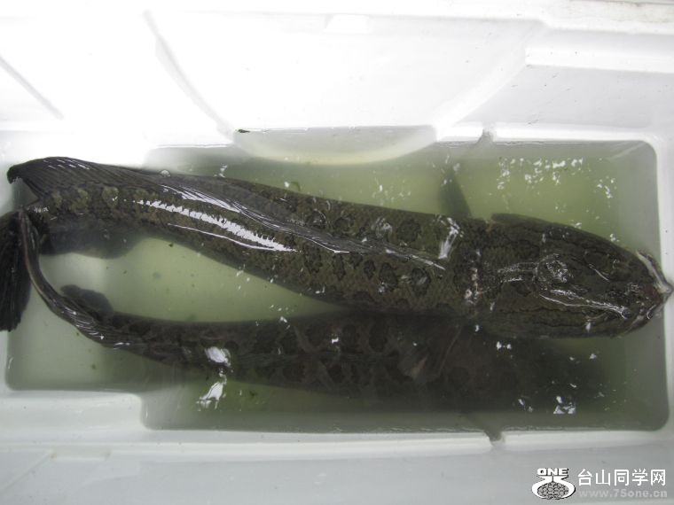 4-30-2011PARTY 001.jpg