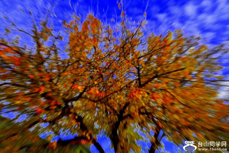 _DSC0115 [800x600].jpg