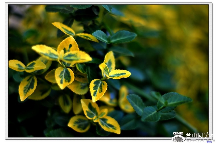 ���������ջ� 301--1.jpg