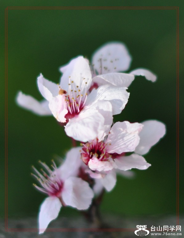 2011.04.16 148--1.jpg