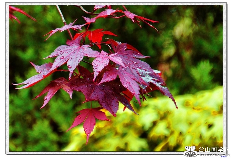 2011.04.16 266--1.jpg