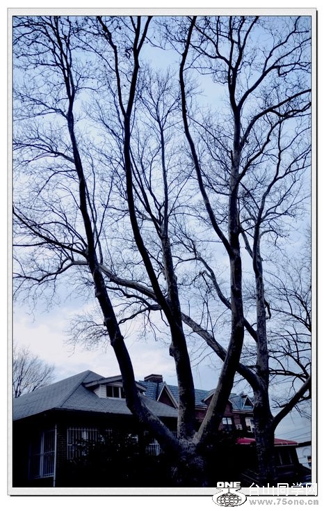 ����ģ�2��6�գ�ŦԼ��µ���� 219--1.jpg