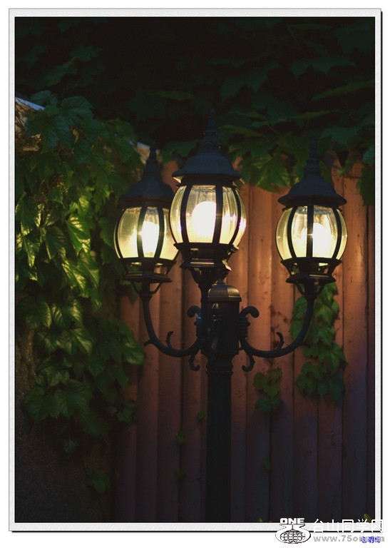 2011.04.16 319--1.jpg