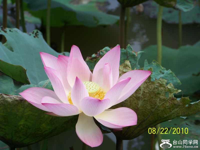 100_2866.jpg