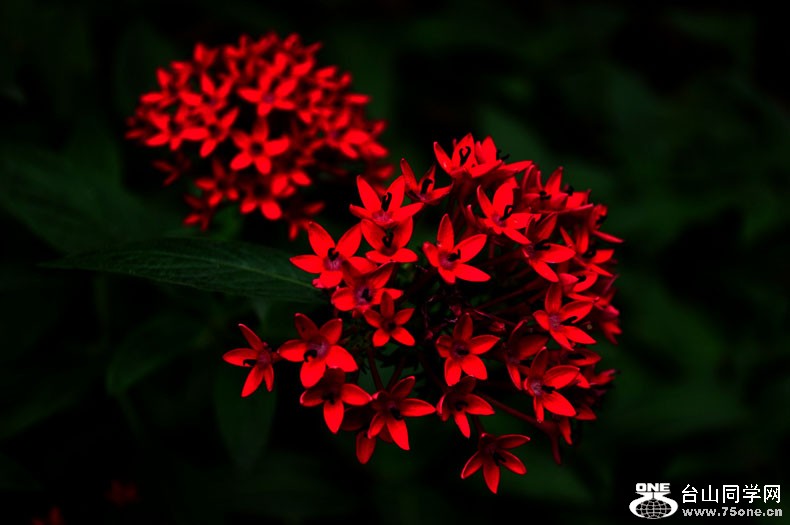 DSC_0414.jpg