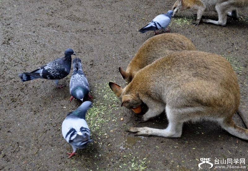 _DSC0271 [800x600].jpg