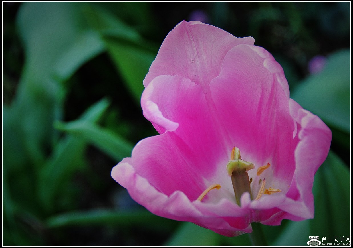 DSC_6324.jpg