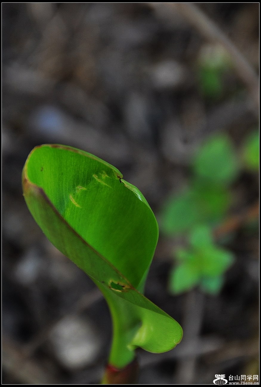 DSC_6342.jpg