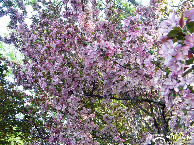 DSCF9500.JPG
