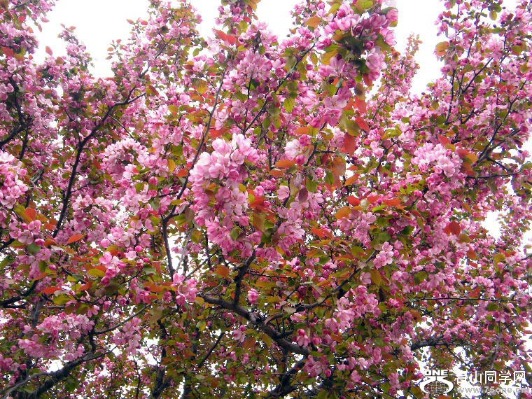 DSCF9343.JPG