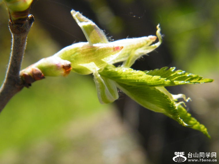DSCF9053.JPG