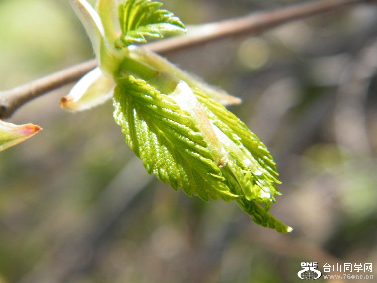 DSCF9052.JPG