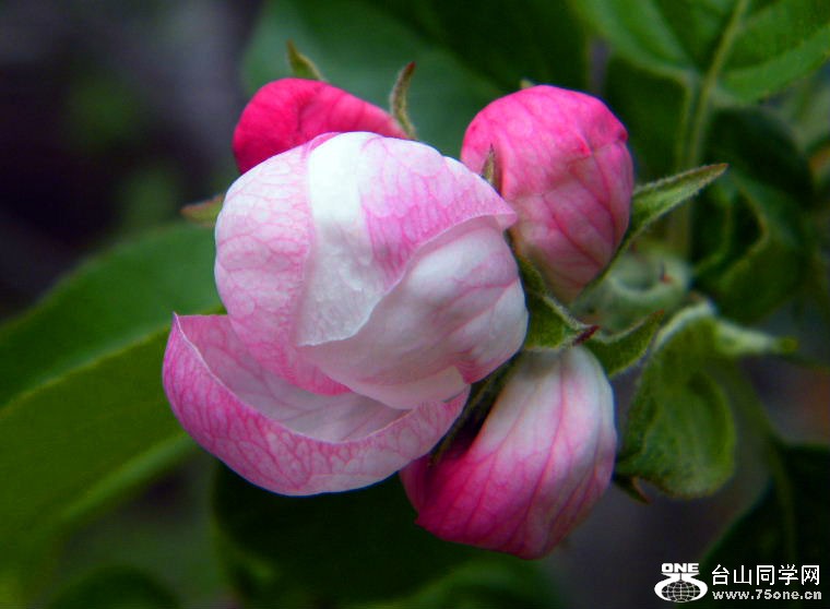 DSCF9154=0.jpg