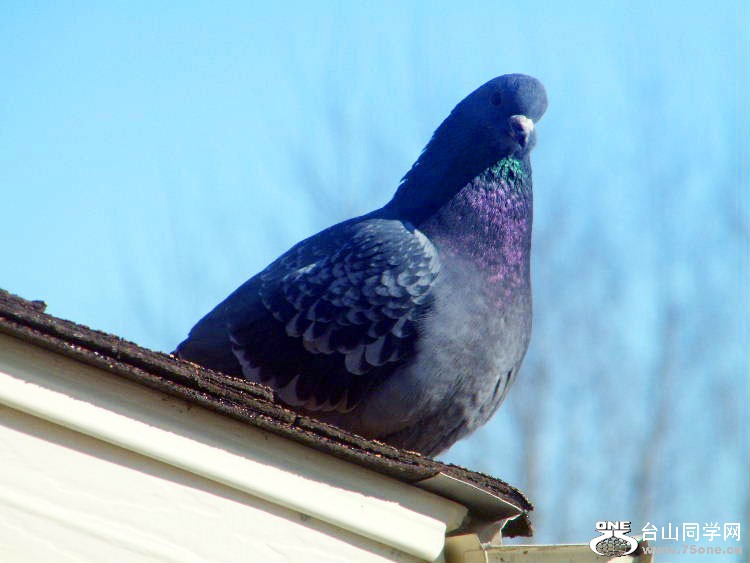 DSCF7369=0.jpg